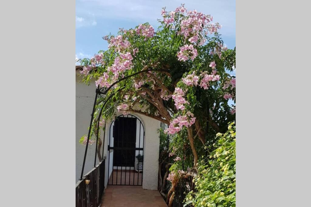 Fabulous Refurbished Apartment Above Private Villa Benissa Exteriör bild